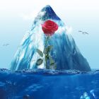 JACK AND ROSE E-LIQUID FLAVOR