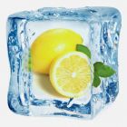 ICE LEMON E-LIQUID FLAVOR