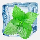 ULTRA MENTHOL E-LIQUID FLAVOR